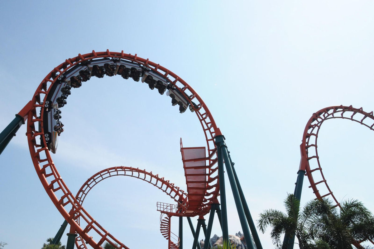 Diary of a Small Business Owner (3/20/20) - Who Likes Roller Coasters?