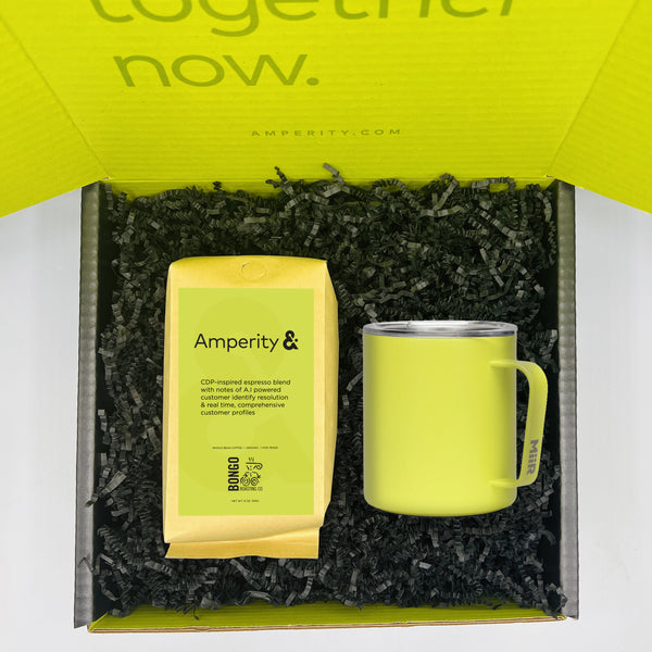 Amperity Gift Set - Intro